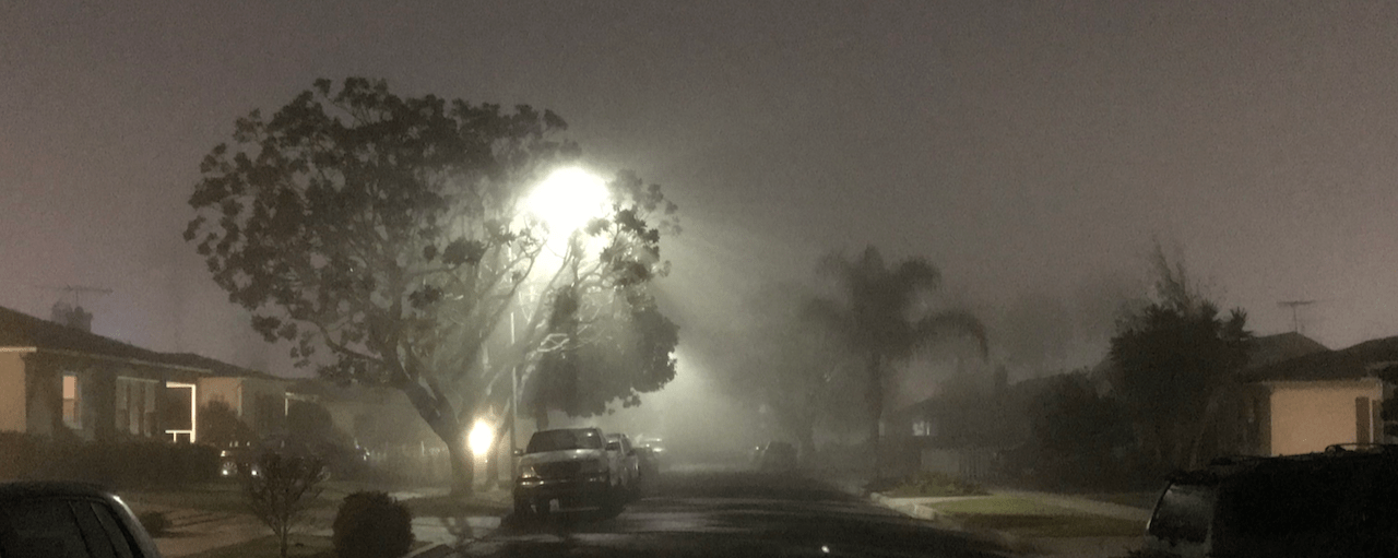 Streetlight cutting through fog and a tree