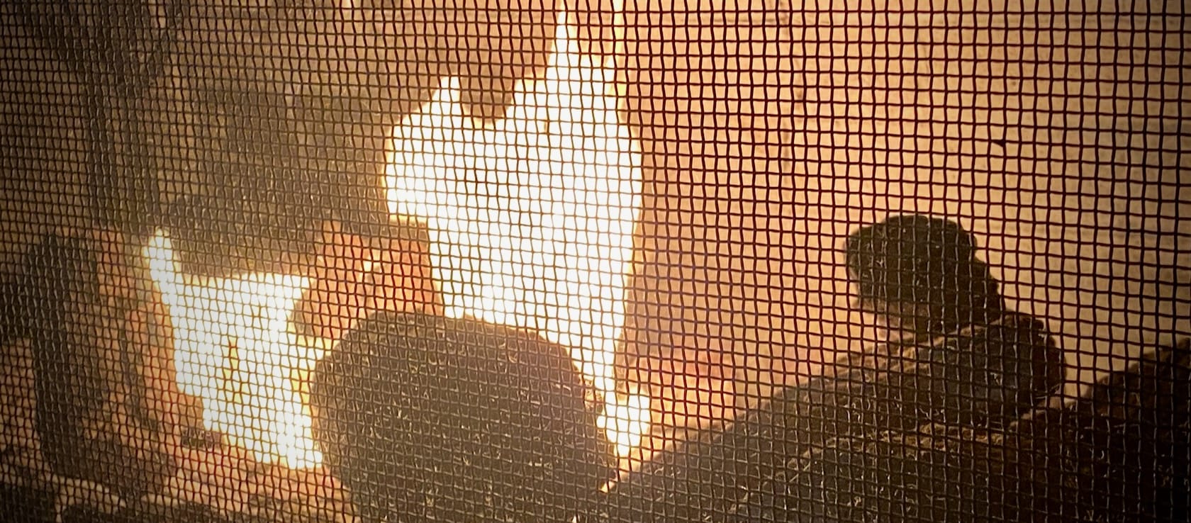 A fire, seen through a black metal fire grate