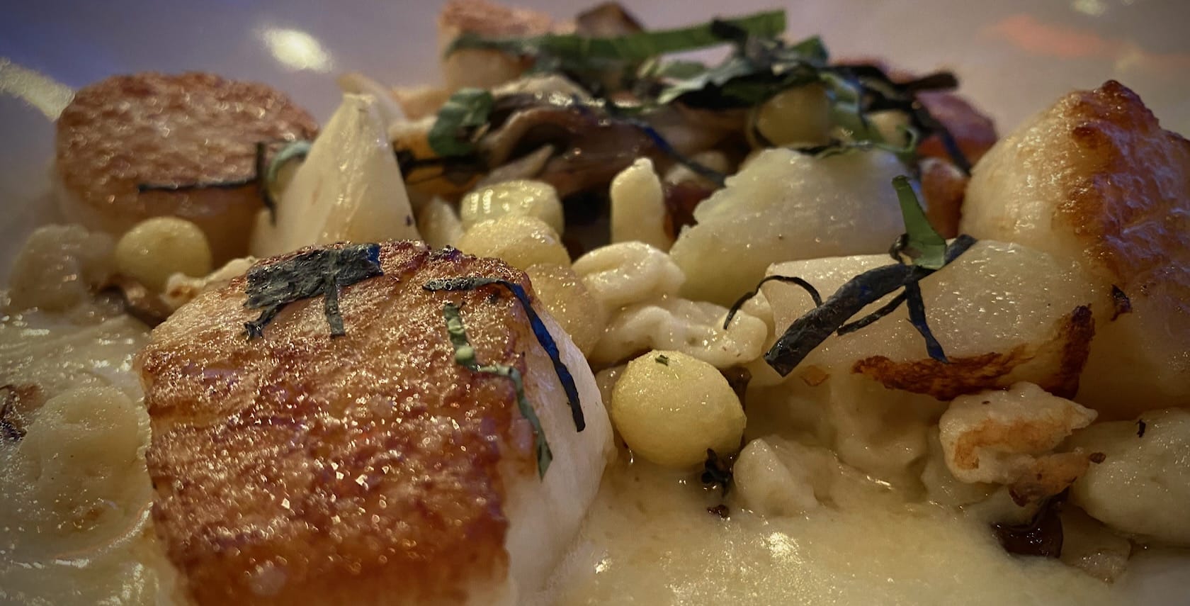 Seared scallops in a white sauce, with spaetzle and basil