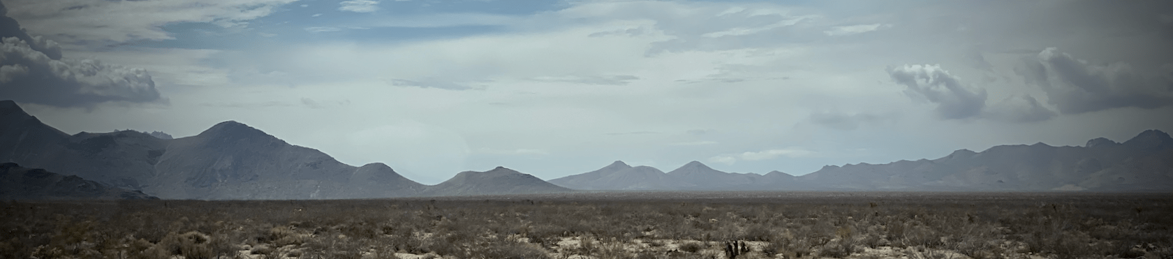 Desert scrub with mountains in the mist behind